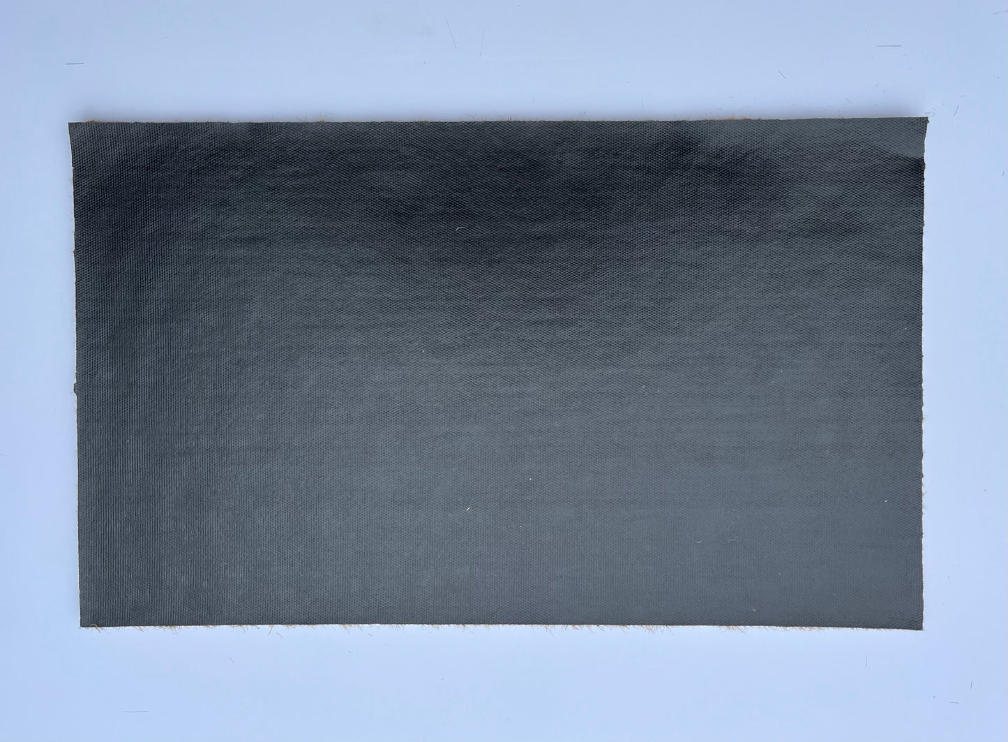 Bienvenidos Coir Doormat